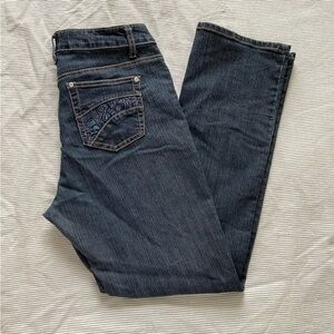 Y2K Roadrunner Mid Rise Bootcut Jeans